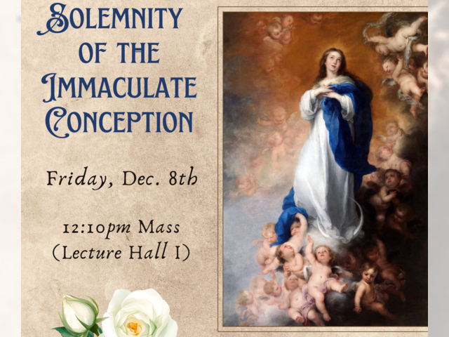 Solemnity Of The Immaculate Conception Of The BVM · Catholic Retrievers ...