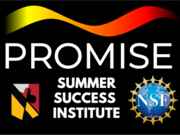 PROMISE Summer Success Institute in white letters on a black background with a flag yellow, orange and red on top.