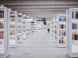 Picture shelf in the library