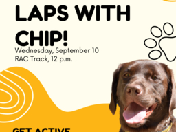Laps With Chip!