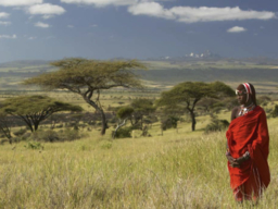 A Maasai person gazing onto the National Reserve land