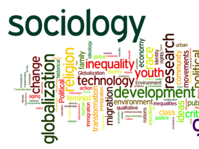 Sociology. Sociology and teaching. Sociology students.