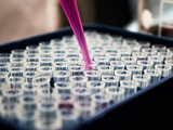 A picture representing research.